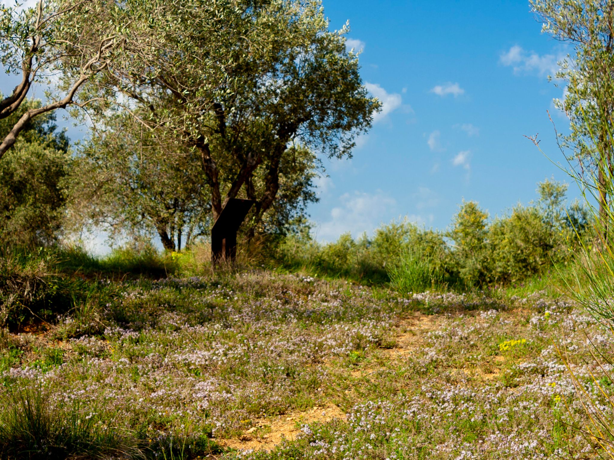 Josep ca l arenys i oliveres220416 1113